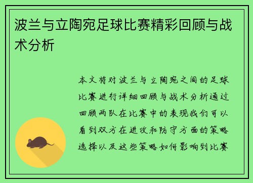 波兰与立陶宛足球比赛精彩回顾与战术分析