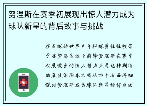 努涅斯在赛季初展现出惊人潜力成为球队新星的背后故事与挑战