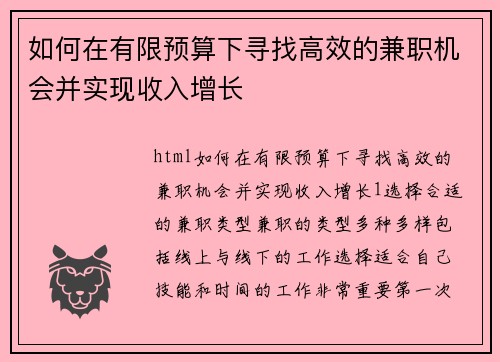 如何在有限预算下寻找高效的兼职机会并实现收入增长